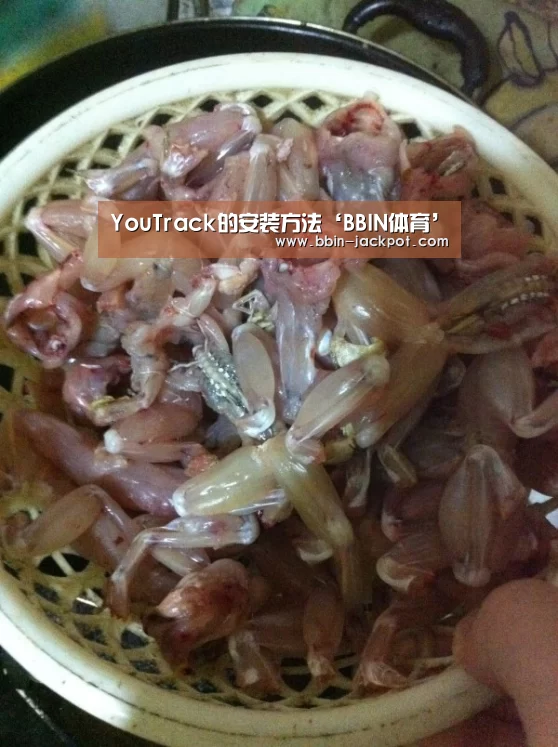 YouTrack的安装方法‘BBIN体育’(图2) BBIN足球