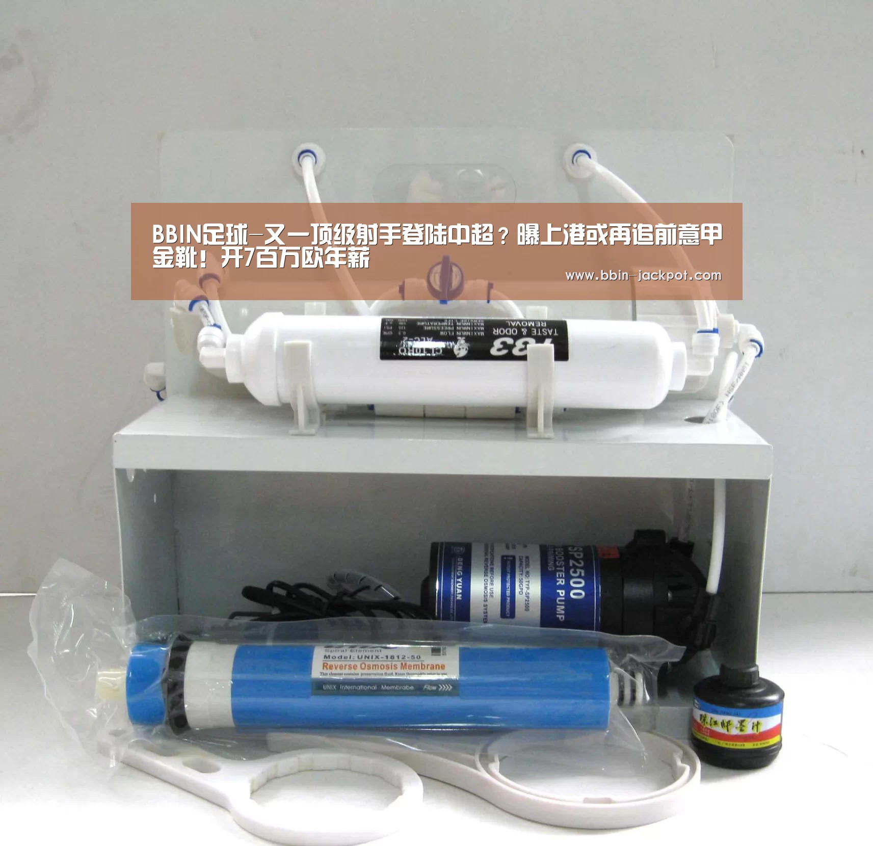 BBIN足球-又一顶级射手登陆中超?曝上港或再追前意甲金靴!开7百万欧年薪(图2) BBIN电竞