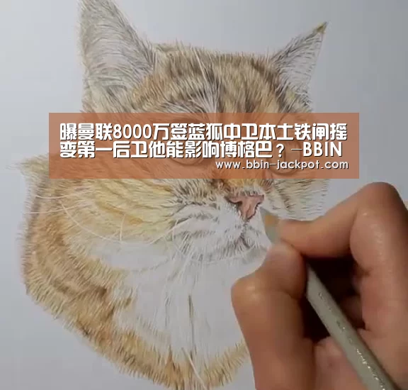 BBIN足球